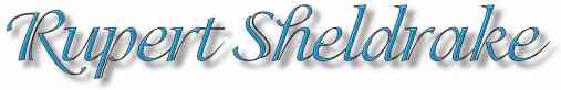 Sheldrake Banner